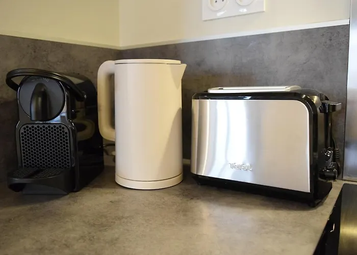 L'écrin Du Bourg - 2 Min Château&maison Bernadette * Lourdes