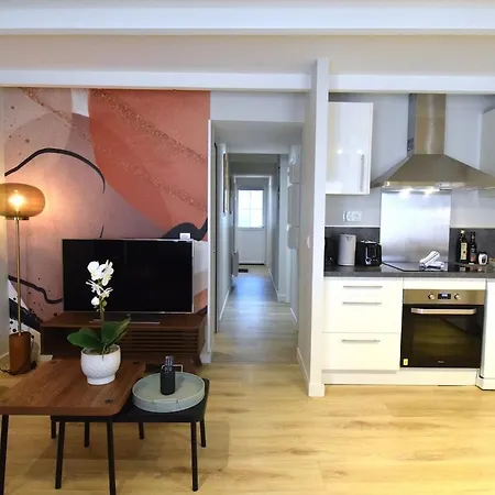 Appartement L'écrin Du Bourg - 2 Min Château&maison Bernadette Lourdes